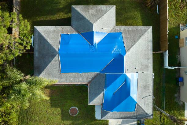 Best Roof Maintenance and Cleaning  in Chico, TX
